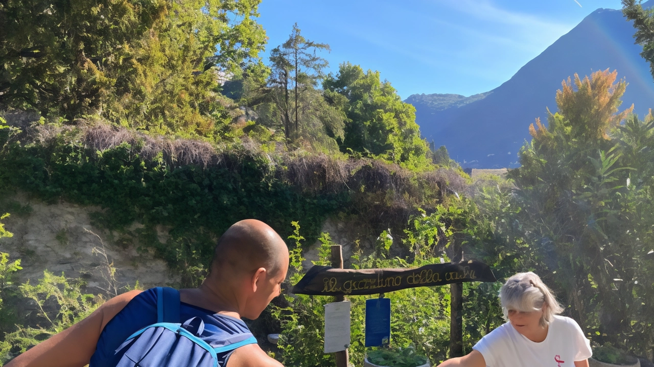 I runner scambieranno i volumi nelle varie postazioni del bookcrossing tra Brunate, Garzola, Tavernola, Maslianico, Piazza, Cernobbio e Como . I runner scambieranno i volumi nelle varie postazioni del bookcrossing tra Brunate, Garzola, Tavernola, Maslianico, Piazza, Cernobbio e Como .