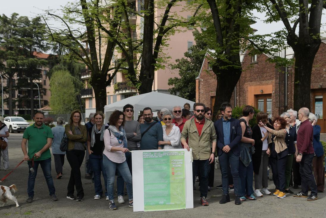 Tigli in piazza con le ore contate. Comitato in campo: sono preziosi Tigli in piazza con le ore contate. Comitato in campo: sono preziosi