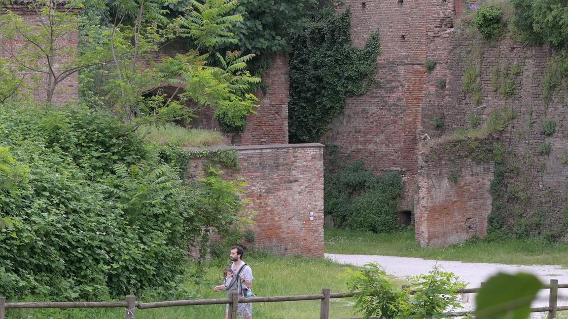La vegetazione è invasiva. Castello "soffocato" . Maxi abbattimenti al via La vegetazione è invasiva. Castello "soffocato" . Maxi abbattimenti al via