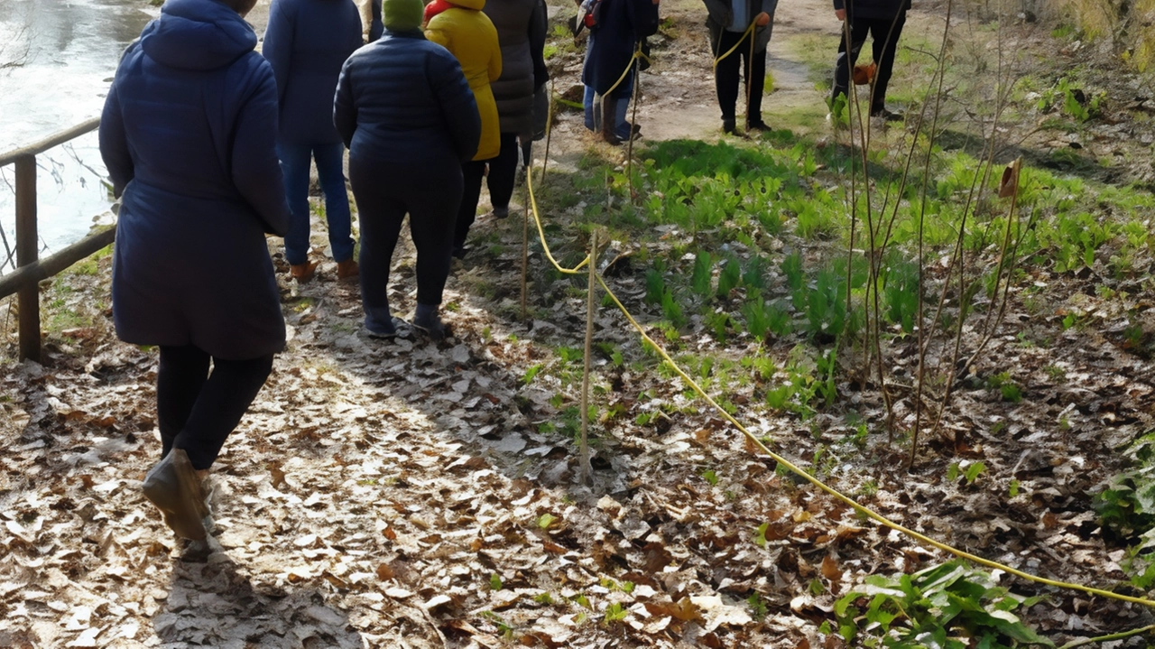 Legambiente Monza arricchisce l'Oasi di piazza Castello con nuova cartellonistica per valorizzare flora e fauna. Interventi di cura e attenzione, ma squarcio sul Lambro richiede intervento urgente. Legambiente Monza arricchisce l'Oasi di piazza Castello con nuova cartellonistica per valorizzare flora e fauna. Interventi di cura e attenzione, ma squarcio sul Lambro richiede intervento urgente.