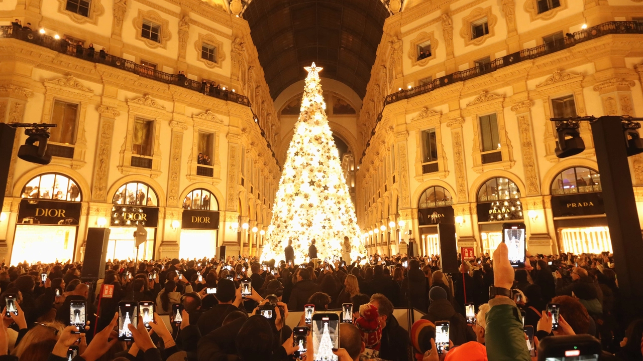 L'albero di Natale firmato Dior in Galleria Vittorio Emanuele II (Salmoirago) L'albero di Natale firmato Dior in Galleria Vittorio Emanuele II (Salmoirago)