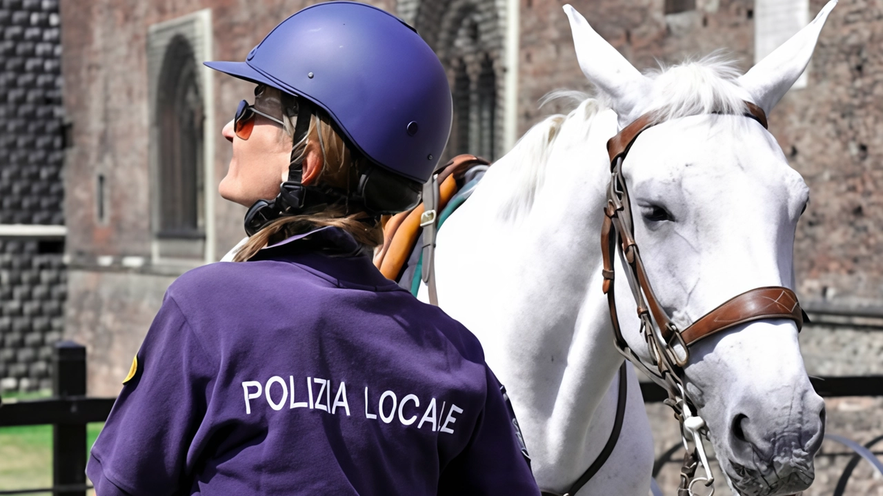 Gli agenti della polizia locale a cavallo arriveranno nei parchi a inizio giugno Gli agenti della polizia locale a cavallo arriveranno nei parchi a inizio giugno