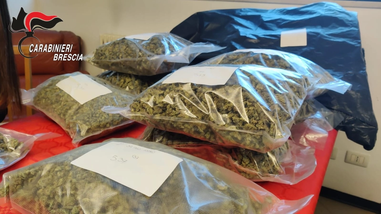 La droga era già stata suddivisa in sacchetti La droga era già stata suddivisa in sacchetti