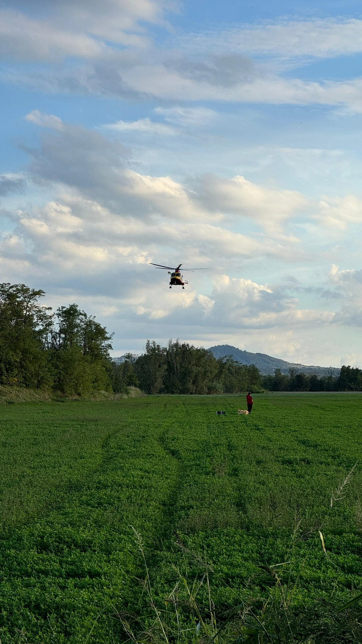 L'elicottero in volo (Torres)