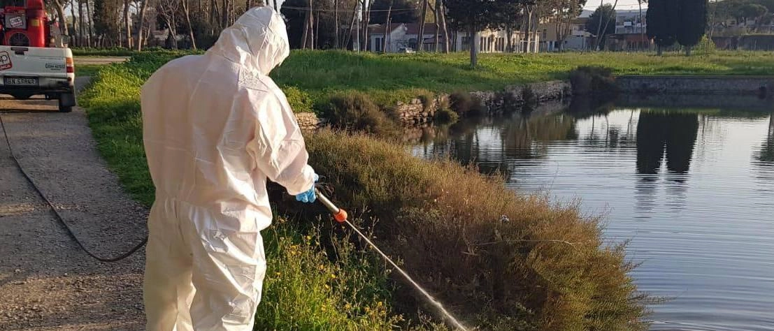 Pavia, potenziati gli interventi contro le zanzare