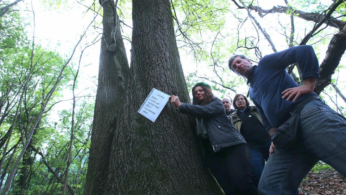 Pedemontana, le ruspe e il pesante impatto ambientale: Regione Lombardia ci mette altri 9 milioni