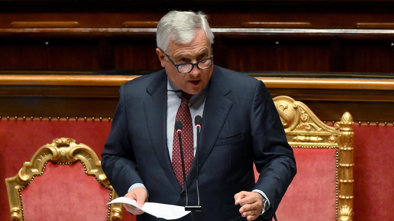 'Noi non abbiamo inviato munizioni italiane a Israele'