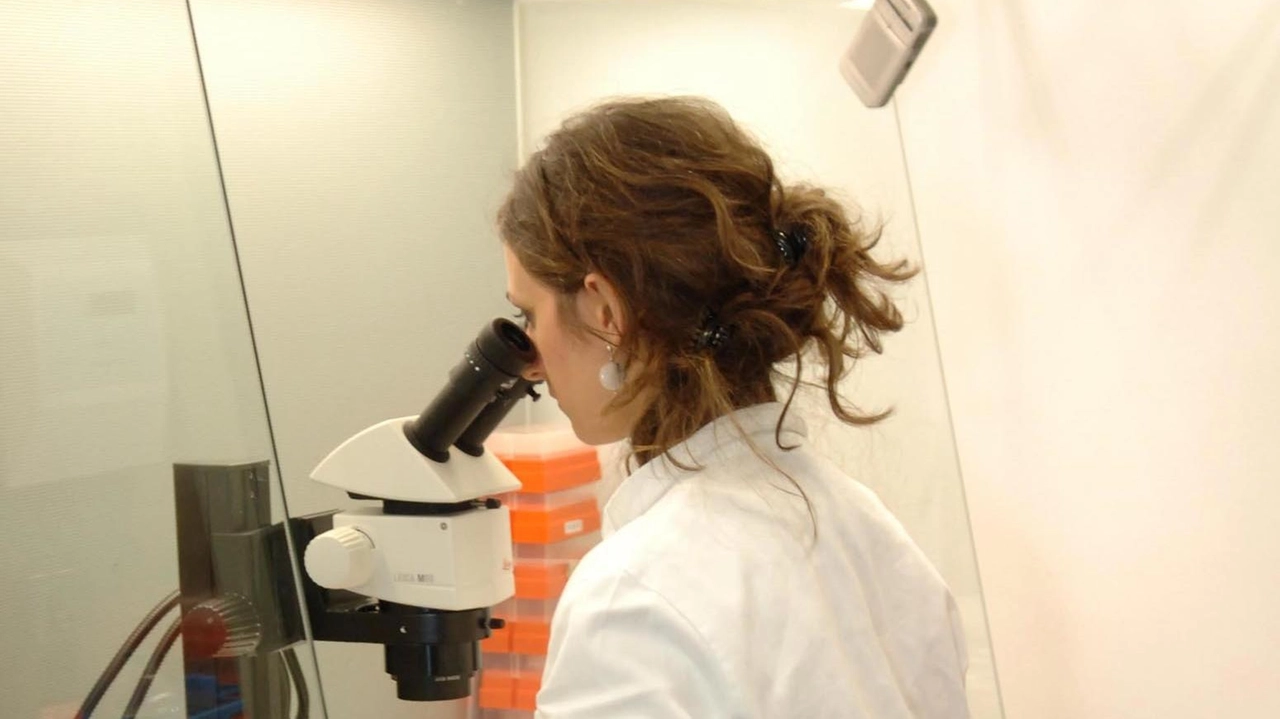 Le analisi effettuate subito dopo dall’Ats della Montagna nelle acque del ruscello hanno evidenziato la presenza del Norovirus Le analisi effettuate subito dopo dall’Ats della Montagna nelle acque del ruscello hanno evidenziato la presenza del Norovirus