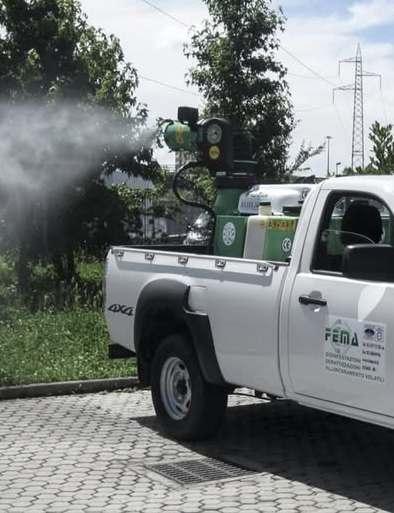 dengue a cernusco tre giorni di disinfestazione il comune tenere chiuse porte e finestre