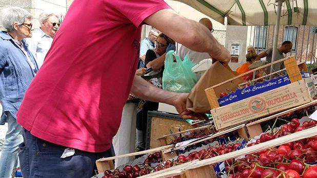 Monza, la frutta in vendita nelle bancarelle fino a 13 euro al chilo. Ieri il via alle celebrazioni con la messa e la statua calata nel Lambro.