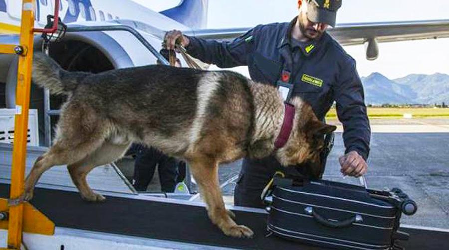 sigarette di contrabbando maxi sequestro all8217aeroporto di orio al serio sequestrate oltre 4700 stecche