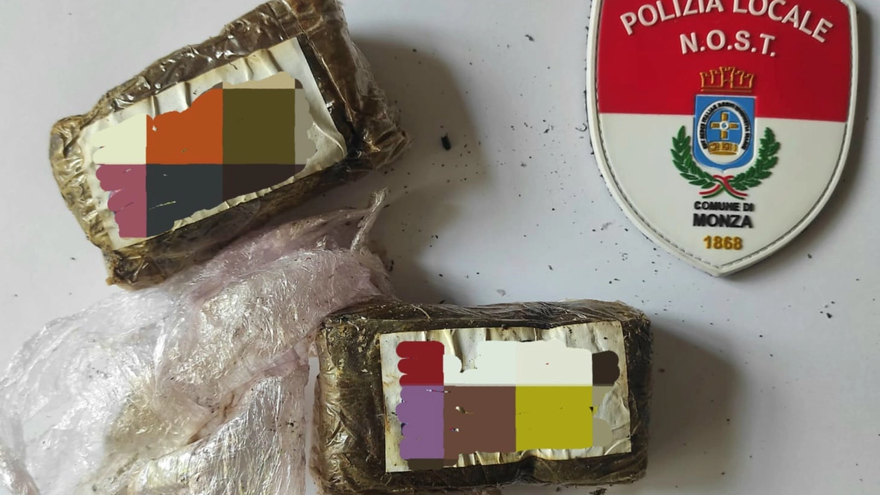 panetti hashish sequestrati dalla Polizia locale di Monza in un'area verde