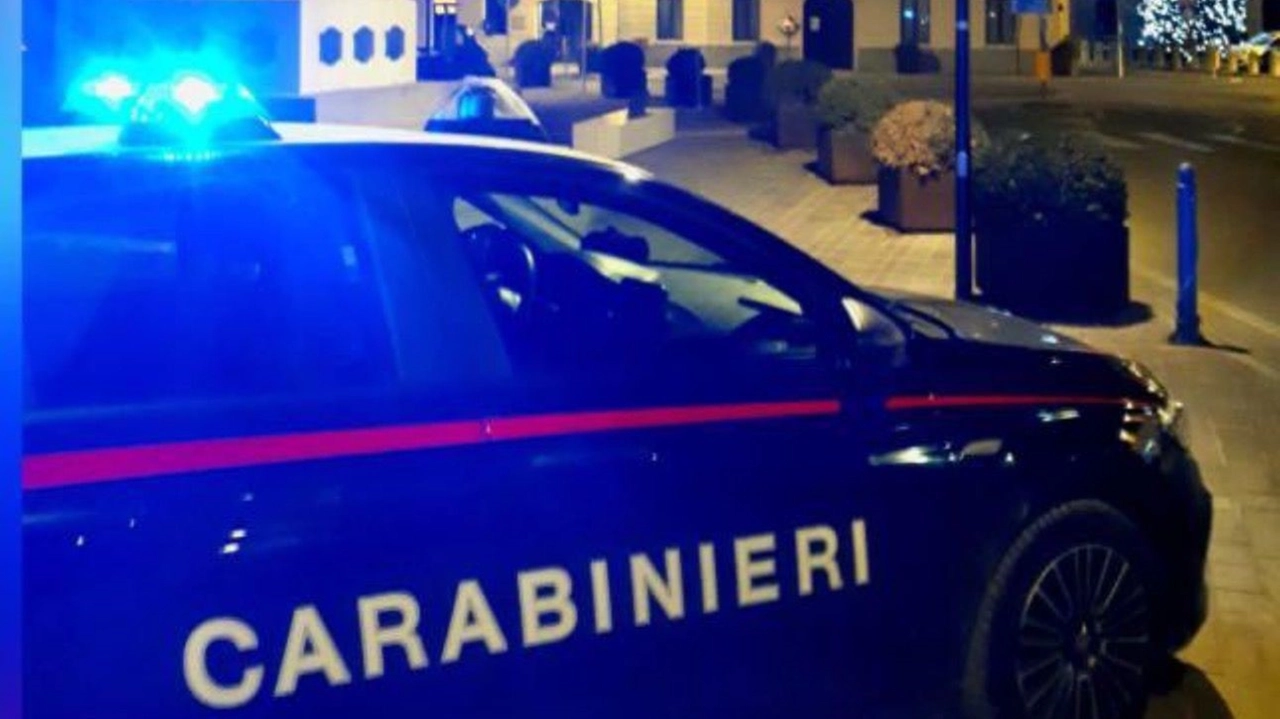 Sono intervenuti di carabinieri di Magnacavallo e di Quistello Sono intervenuti di carabinieri di Magnacavallo e di Quistello