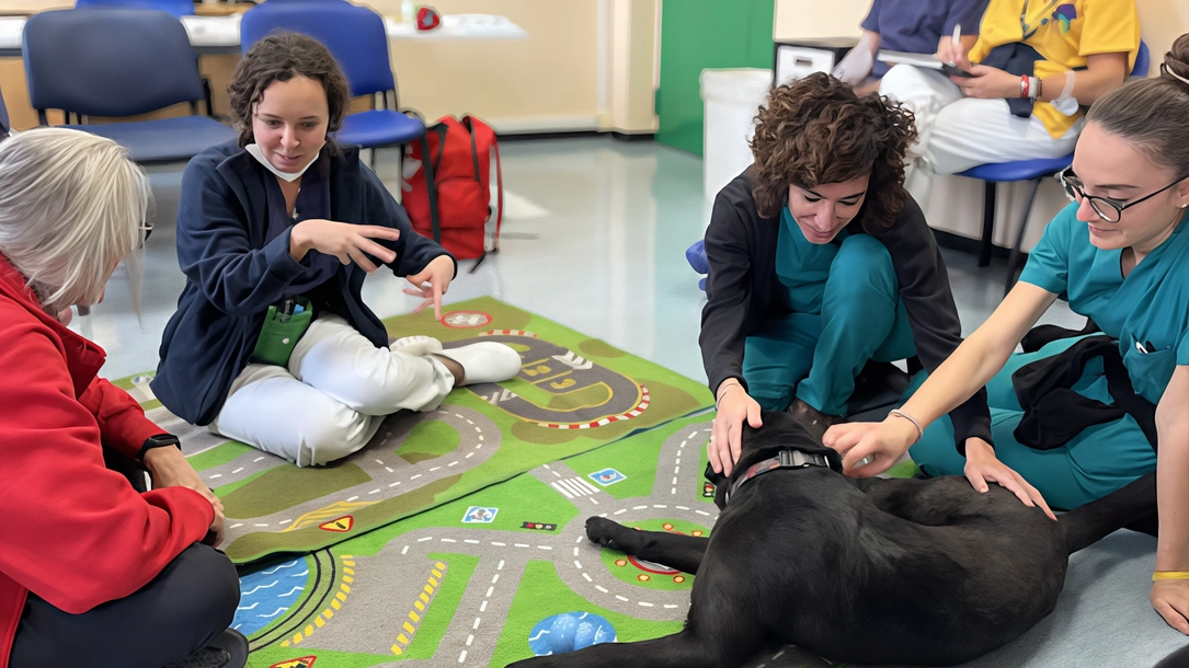 Popper, labrador di Dog4Life Ets, porta sollievo ai pazienti di Oncologia e Nefrologia al San Gerardo con la Pet Therapy. Popper, labrador di Dog4Life Ets, porta sollievo ai pazienti di Oncologia e Nefrologia al San Gerardo con la Pet Therapy.