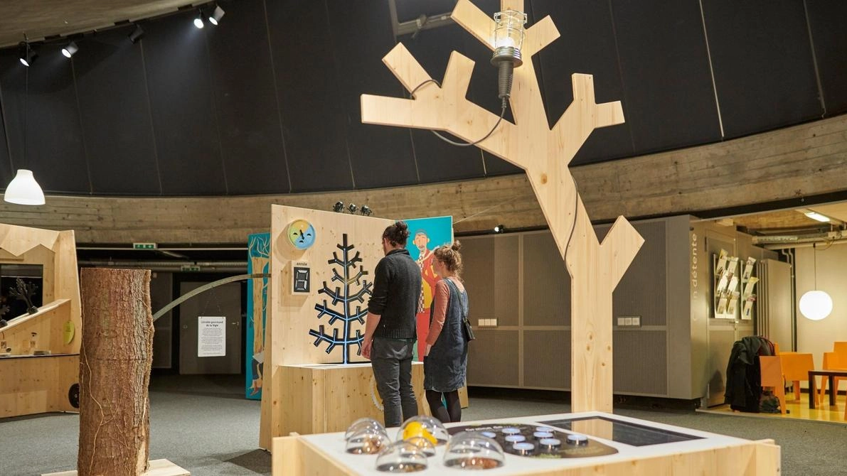 Le postazioni-gioco sono alberi con riproduzioni di opere al posto delle foglie: c’è l’albero dei suoni e delle emozioni Le postazioni-gioco sono alberi con riproduzioni di opere al posto delle foglie: c’è l’albero dei suoni e delle emozioni