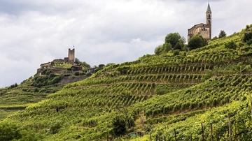 Valtellina, quei vigneti strappati ai monti