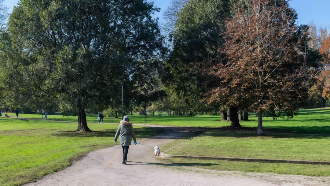 Il parco di Villa Litta: un'oasi storica nel cuore di Milano. Testimonianza di nobili passati e luogo di svago per la comunità, ma con sfide da affrontare per il futuro. Il parco di Villa Litta: un'oasi storica nel cuore di Milano. Testimonianza di nobili passati e luogo di svago per la comunità, ma con sfide da affrontare per il futuro.