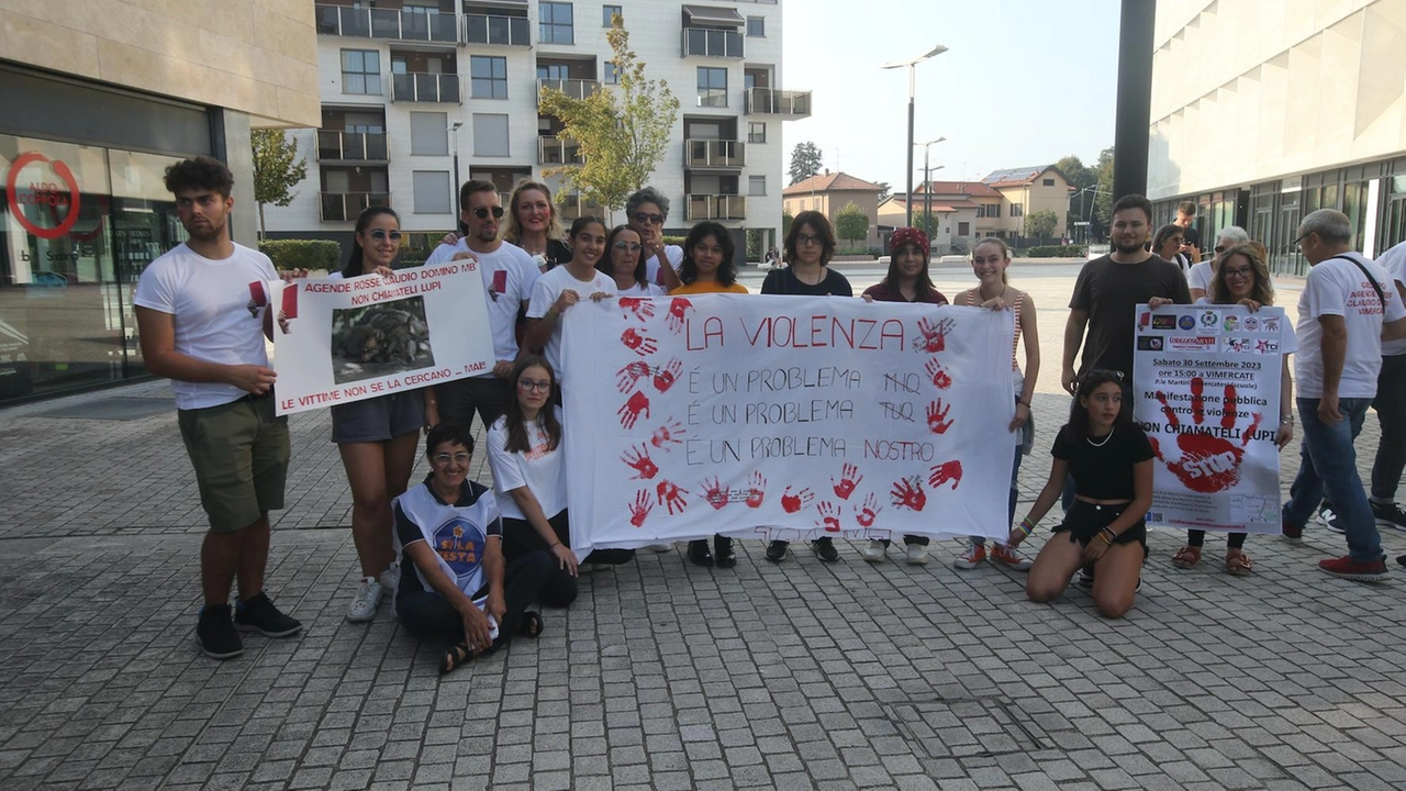 Sit-in a Vimercate contro la violenza sulle donne nei giorni immediatamente successivi l'episodio Sit-in a Vimercate contro la violenza sulle donne nei giorni immediatamente successivi l'episodio