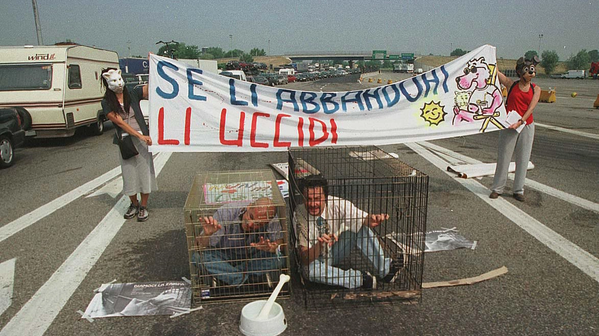 Gaia animali e ambiente festeggia 30 anni di impegno Gaia animali e ambiente festeggia 30 anni di impegno