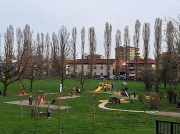 immagine articolo