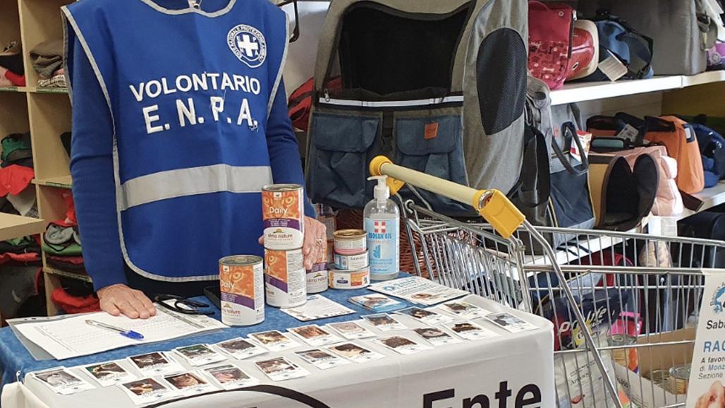 Un gesto che fa la differenza. Ecco la raccolta di cibo per sfamare le colonie feline Un gesto che fa la differenza. Ecco la raccolta di cibo per sfamare le colonie feline