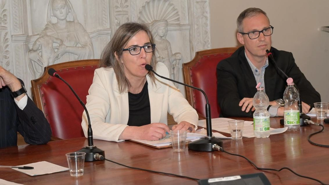 Da sinistra i professori Stefano Sibilla, Silvia Figini e Alessandro Reali Da sinistra i professori Stefano Sibilla, Silvia Figini e Alessandro Reali