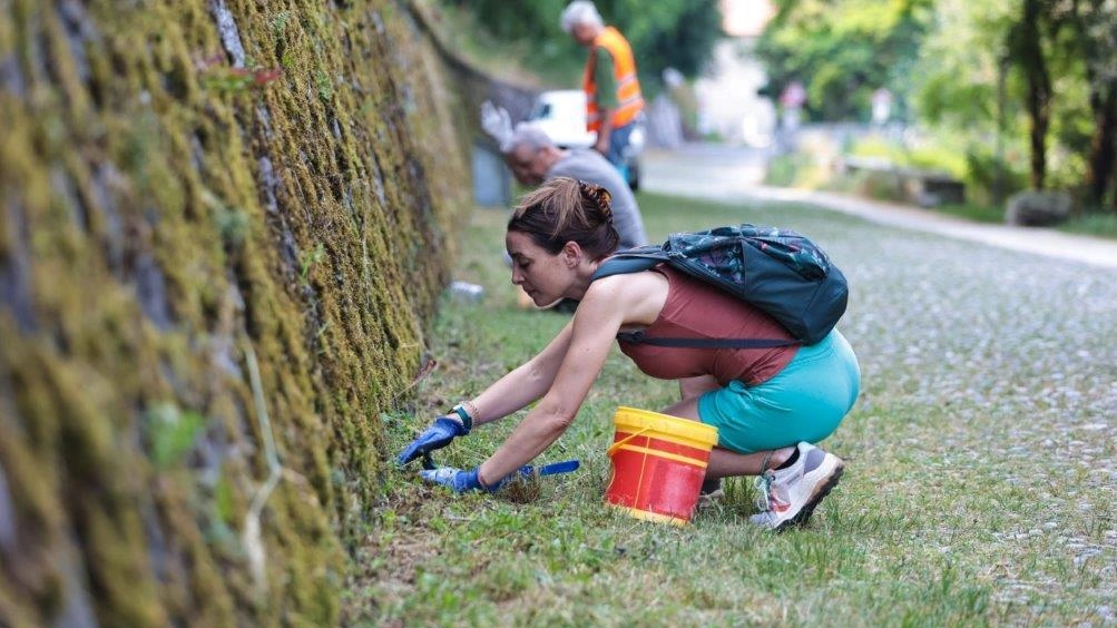 Volontari in azione per salvare il rospo comune diretto ai luoghi di riproduzione da auto e bici (foto Luca Zulianello) Volontari in azione per salvare il rospo comune diretto ai luoghi di riproduzione da auto e bici (foto Luca Zulianello)