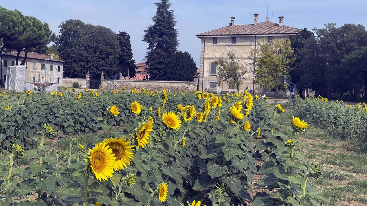 Cassano d’Adda, l’apertura attira i visitatori: l’iniziativa del parroco è affidata a due giovani imprenditori Cassano d’Adda, l’apertura attira i visitatori: l’iniziativa del parroco è affidata a due giovani imprenditori