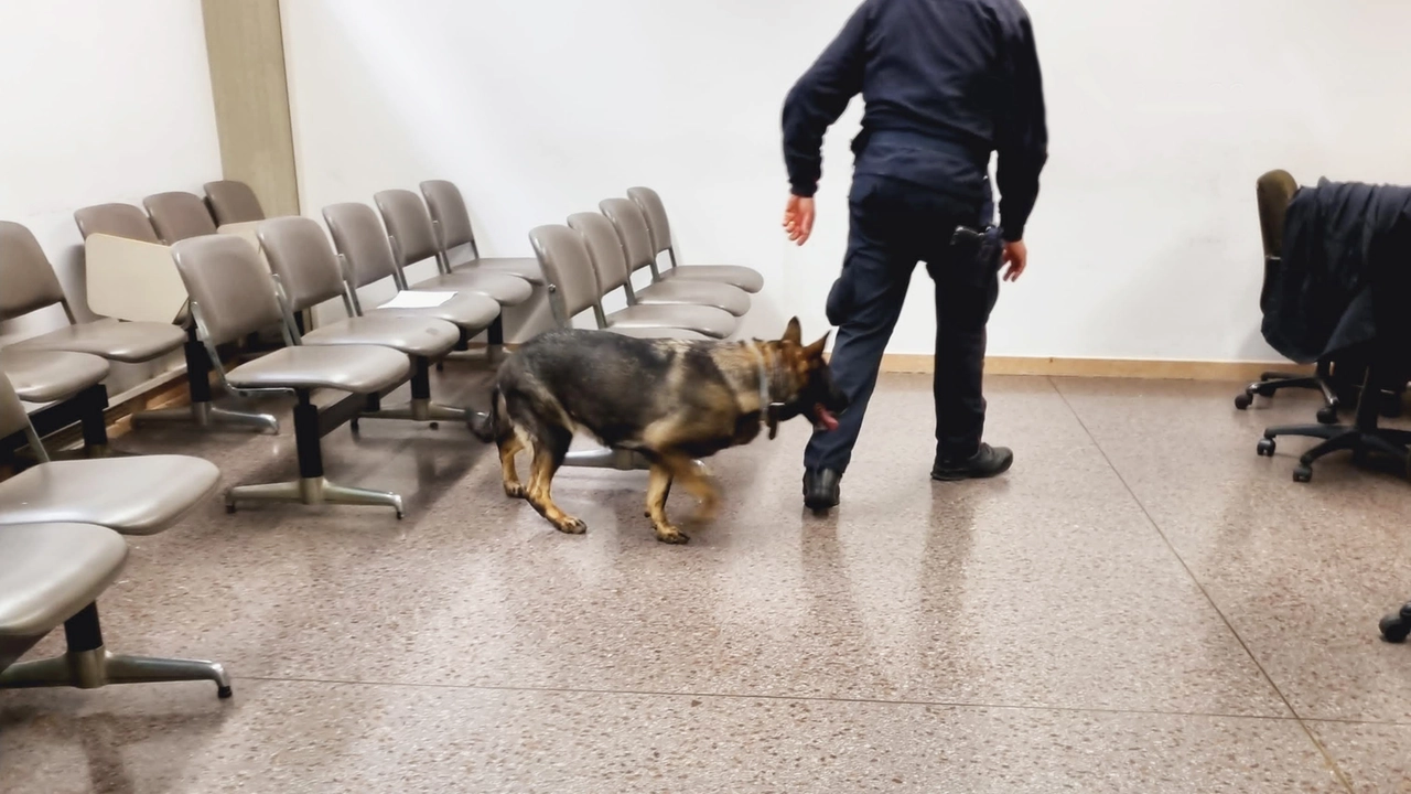 Controlli nel tribunale di Bergamo dopo l'allarme bomba Controlli nel tribunale di Bergamo dopo l'allarme bomba