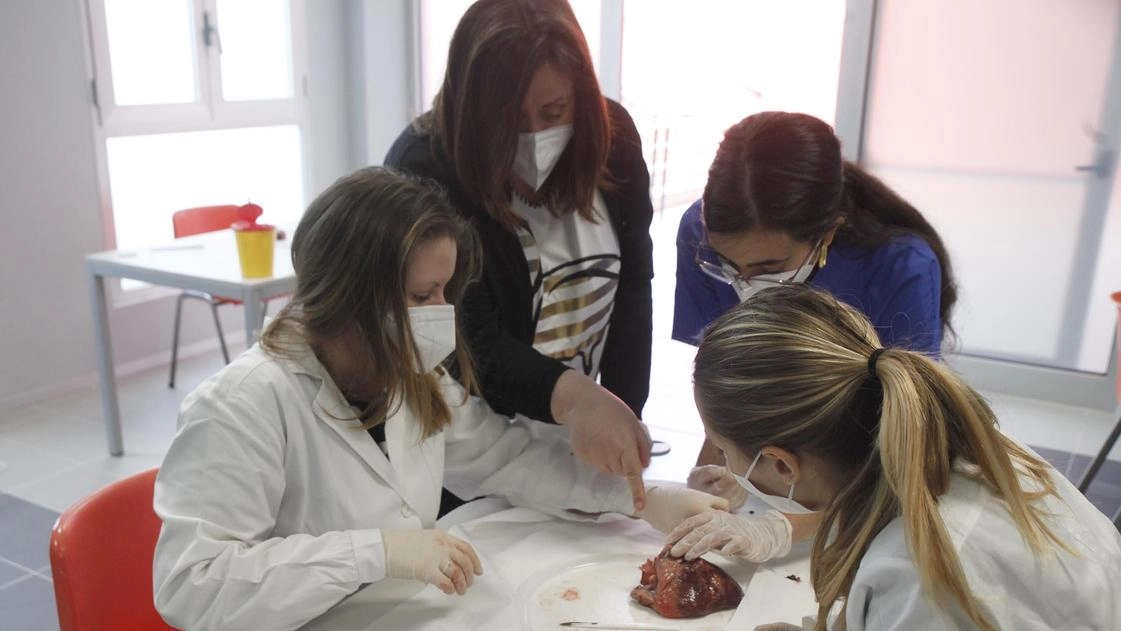 Medicina e Chirurgia, concorsone addio: via al semestre aperto Medicina e Chirurgia, concorsone addio: via al semestre aperto