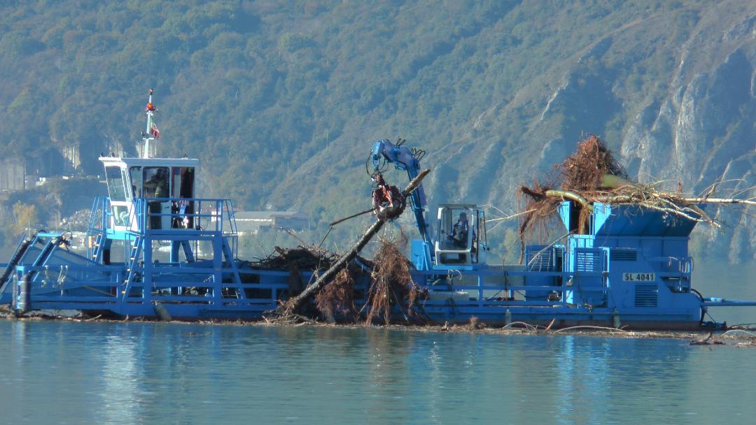 Sarnico, l’allarme dell’Autorità di bacino lacuale di Iseo, Endine e Moro: servono fondi per recuperare il legno galleggiante nelle acque del Sebino Sarnico, l’allarme dell’Autorità di bacino lacuale di Iseo, Endine e Moro: servono fondi per recuperare il legno galleggiante nelle acque del Sebino