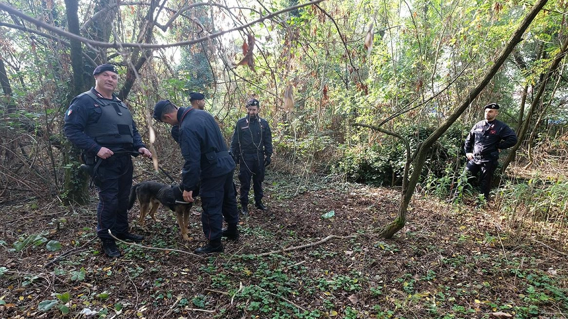 Le forze dell’ordine durante un controllo nelle aree del Parco delle Groane