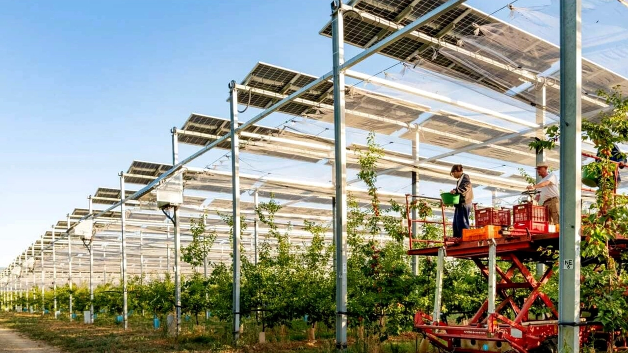 Pannelli solari installati fra i campi coltivati nel Lodigiano