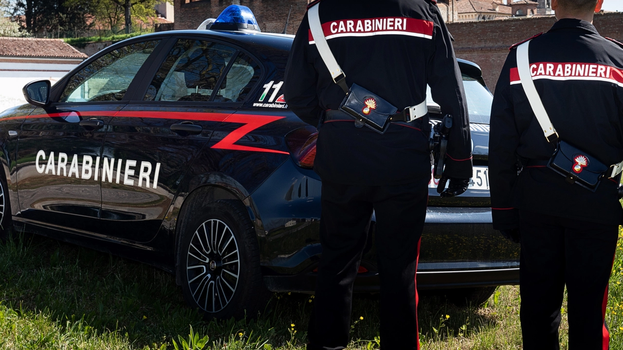 L'uomo è stato inseguito e poi arrestato dai carabinieri di Guidizzolo (foto di archivio) L'uomo è stato inseguito e poi arrestato dai carabinieri di Guidizzolo (foto di archivio)