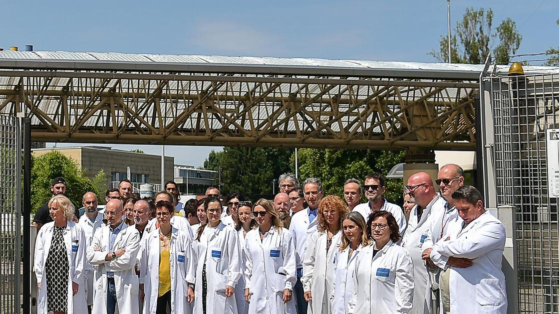Nerviano Medical Science: "Anche la produzione è a rischio"