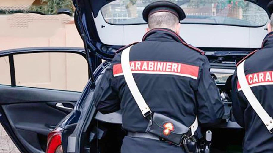 Sannazzaro de' Burgondi, il proprietario ha chiamato i carabinieri che hanno aperto un’indagine per tentato furto aggravato
