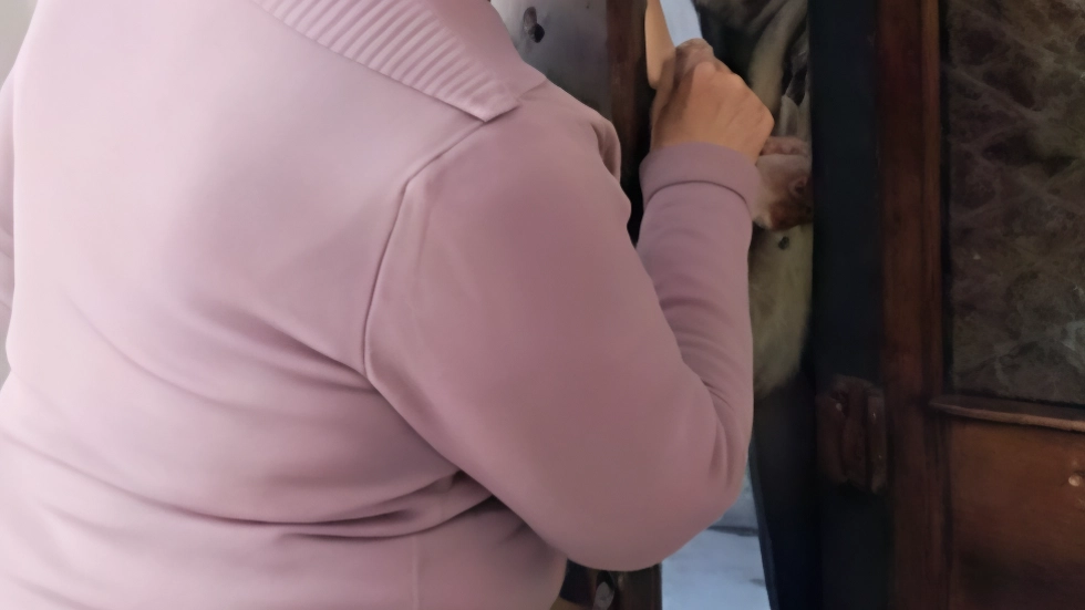 Truffa a Como: anziana derubata di preziosi per 50mila euro da finti tecnici. Polizia indaga ma i truffatori sono già fuggiti. Truffa a Como: anziana derubata di preziosi per 50mila euro da finti tecnici. Polizia indaga ma i truffatori sono già fuggiti.