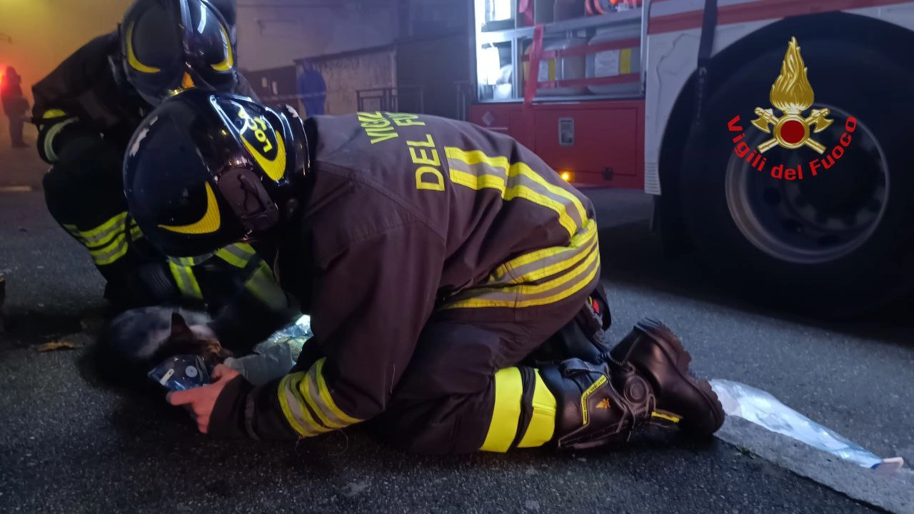 I vigili del fuoco all'opera per rianimare il gatto I vigili del fuoco all'opera per rianimare il gatto