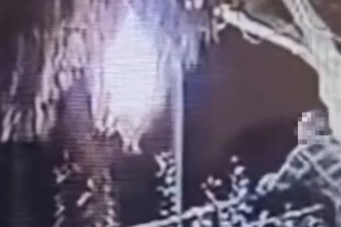 Il piromane mentre guarda la palma bruciare