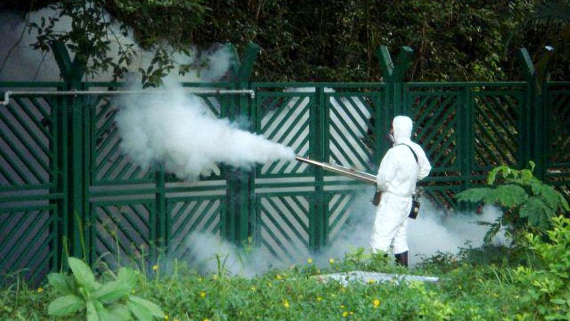 due casi gravi di west nile in lombardia in italia 11 morti e contagi raddoppiati in una settimana