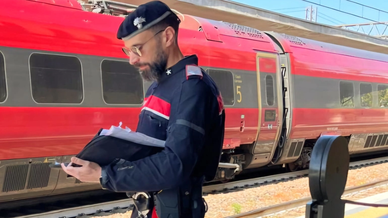 Le indagini alla stazione di Desenzano del Garda Le indagini alla stazione di Desenzano del Garda