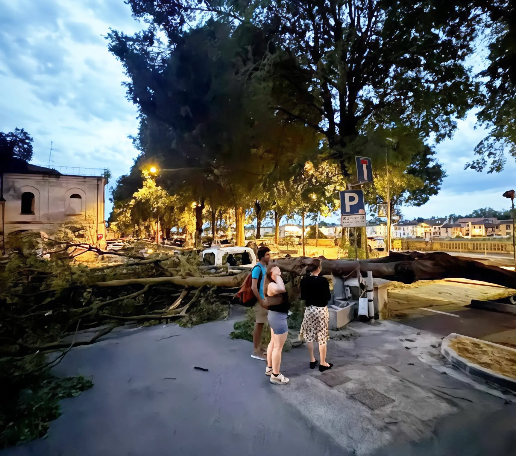 Il maltempo fa danni. Alberi crollati a terra vicino alle case. Tragedie sfiorate