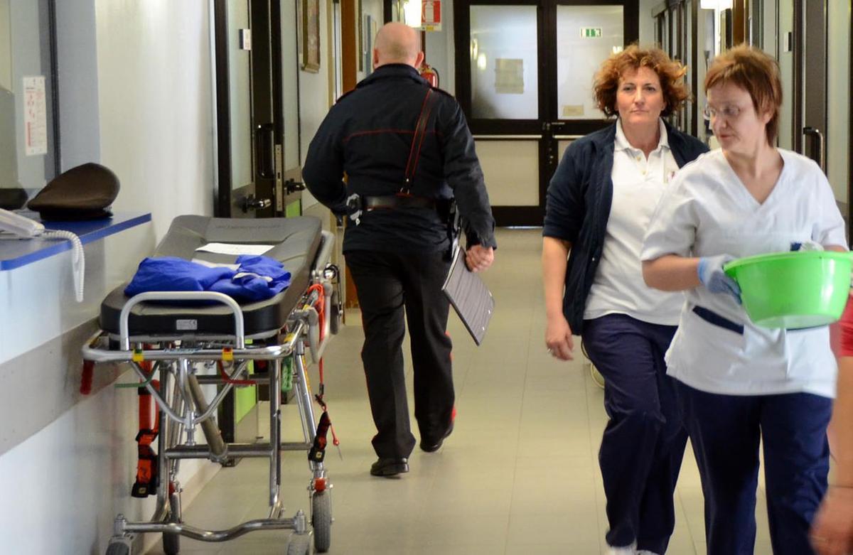 Incornato da un cervo. Finisce in ospedale runner di cinquant’anni Incornato da un cervo. Finisce in ospedale runner di cinquant’anni