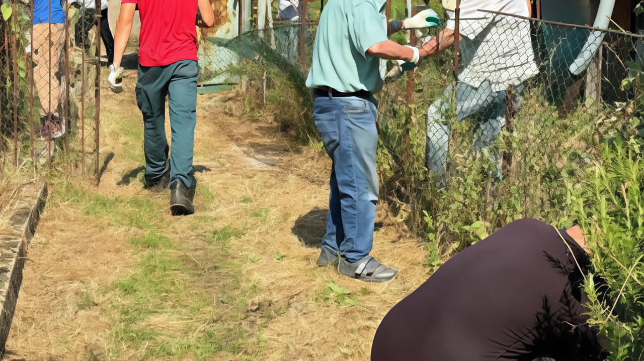 A Rescaldina, l'opportunità di ottenere gratuitamente un orto urbano comunale per incentivare l'attività fisica e l'alimentazione a km 0. Requisiti e modalità di richiesta dettagliati dall'Amministrazione comunale. A Rescaldina, l'opportunità di ottenere gratuitamente un orto urbano comunale per incentivare l'attività fisica e l'alimentazione a km 0. Requisiti e modalità di richiesta dettagliati dall'Amministrazione comunale.