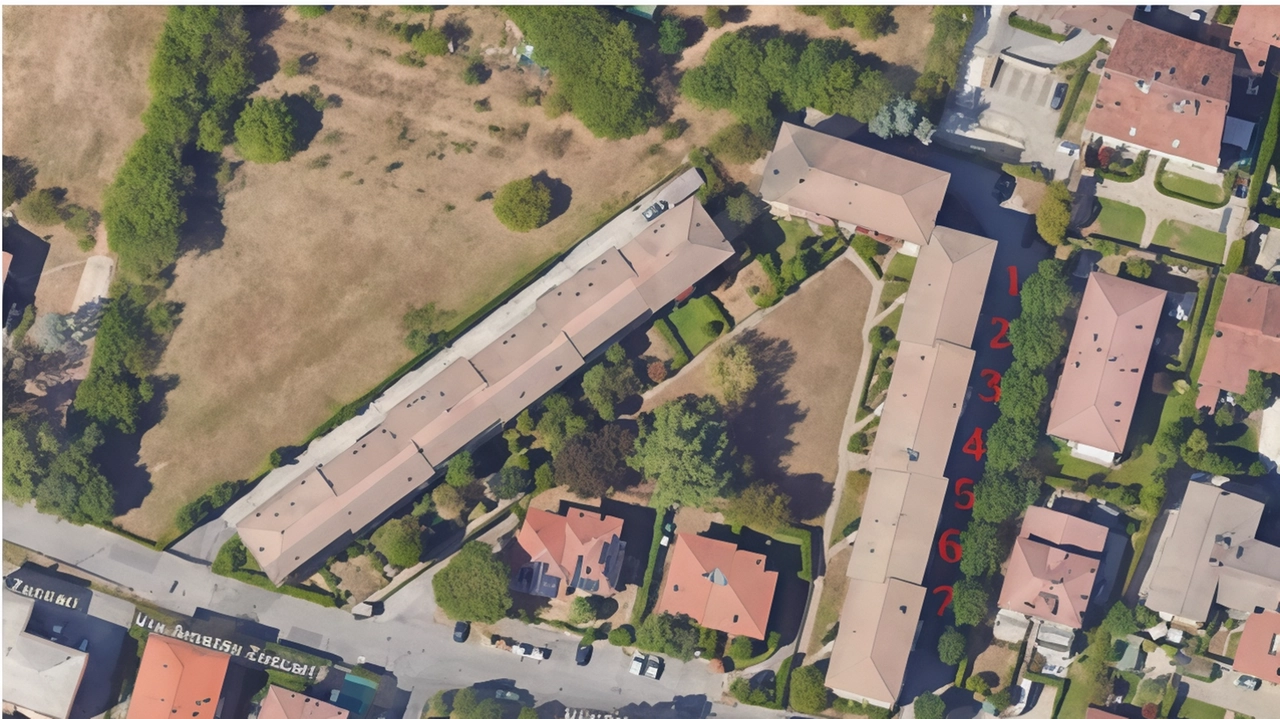 Il filare di gelsi in via Zuccari Ieri doveva iniziare l’abbattimento e i residenti si sono rivolti alla Sovrintendenza Il filare di gelsi in via Zuccari Ieri doveva iniziare l’abbattimento e i residenti si sono rivolti alla Sovrintendenza