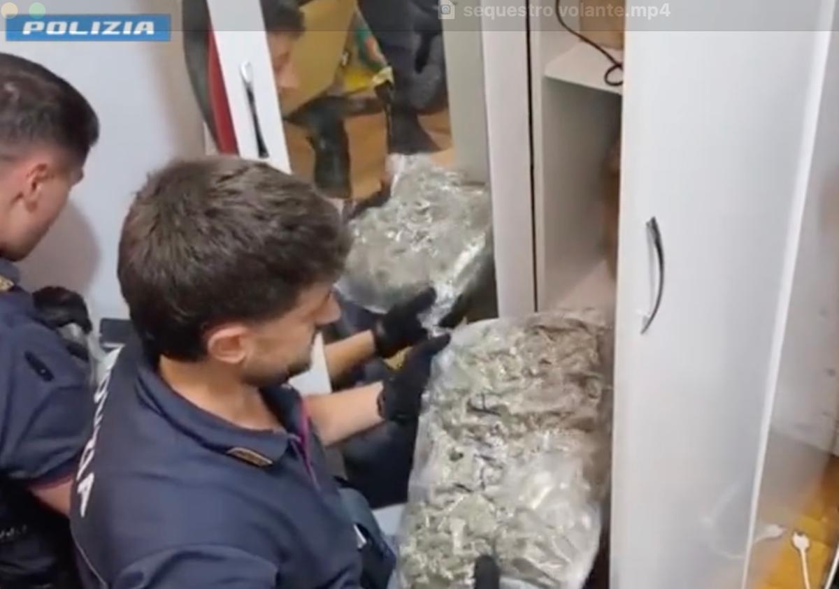 como polizia fa un controllo in casa e sente odore di marijuana nell8217armadio trovano 5 chili di droga