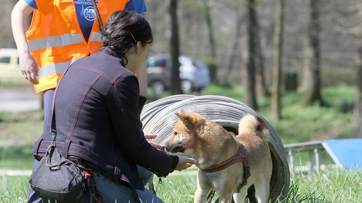 Gli animali protagonisti delle sedute di terapia possono essere cani gatti ma anche conigli, cavalli e molte altre specie