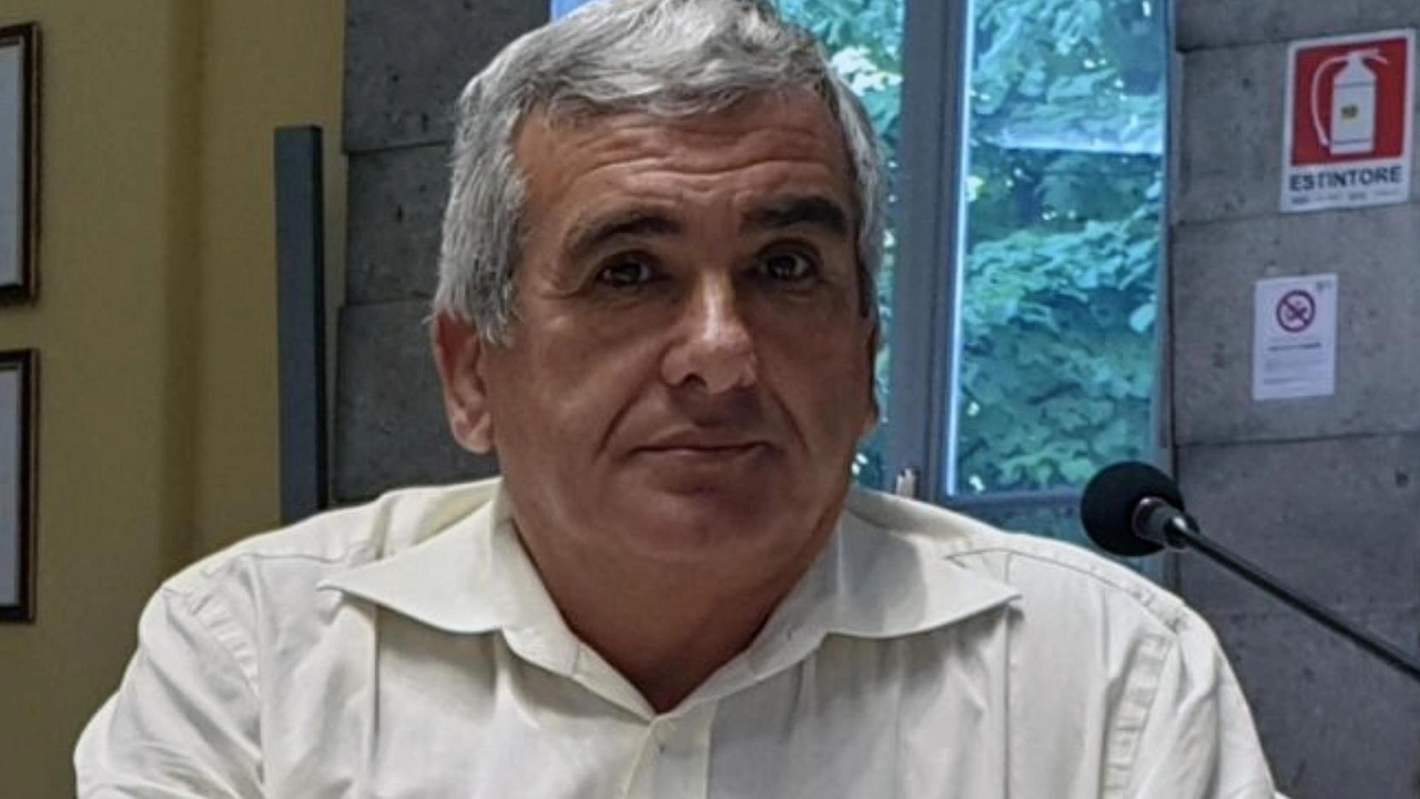 Il Piano del verde a Busto Arsizio prevede la messa a dimora di 355 nuovi alberi per migliorare le strade della città, con una spesa di 400mila euro. L'Amministrazione comunale si impegna per il mantenimento e il potenziamento del verde pubblico. Il Piano del verde a Busto Arsizio prevede la messa a dimora di 355 nuovi alberi per migliorare le strade della città, con una spesa di 400mila euro. L'Amministrazione comunale si impegna per il mantenimento e il potenziamento del verde pubblico.