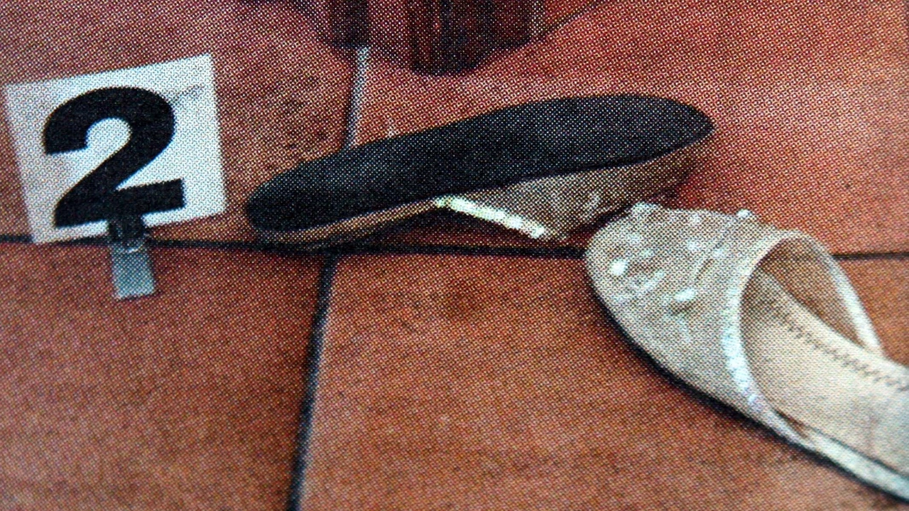 I reperti del Ris nella villetta di Garlasco