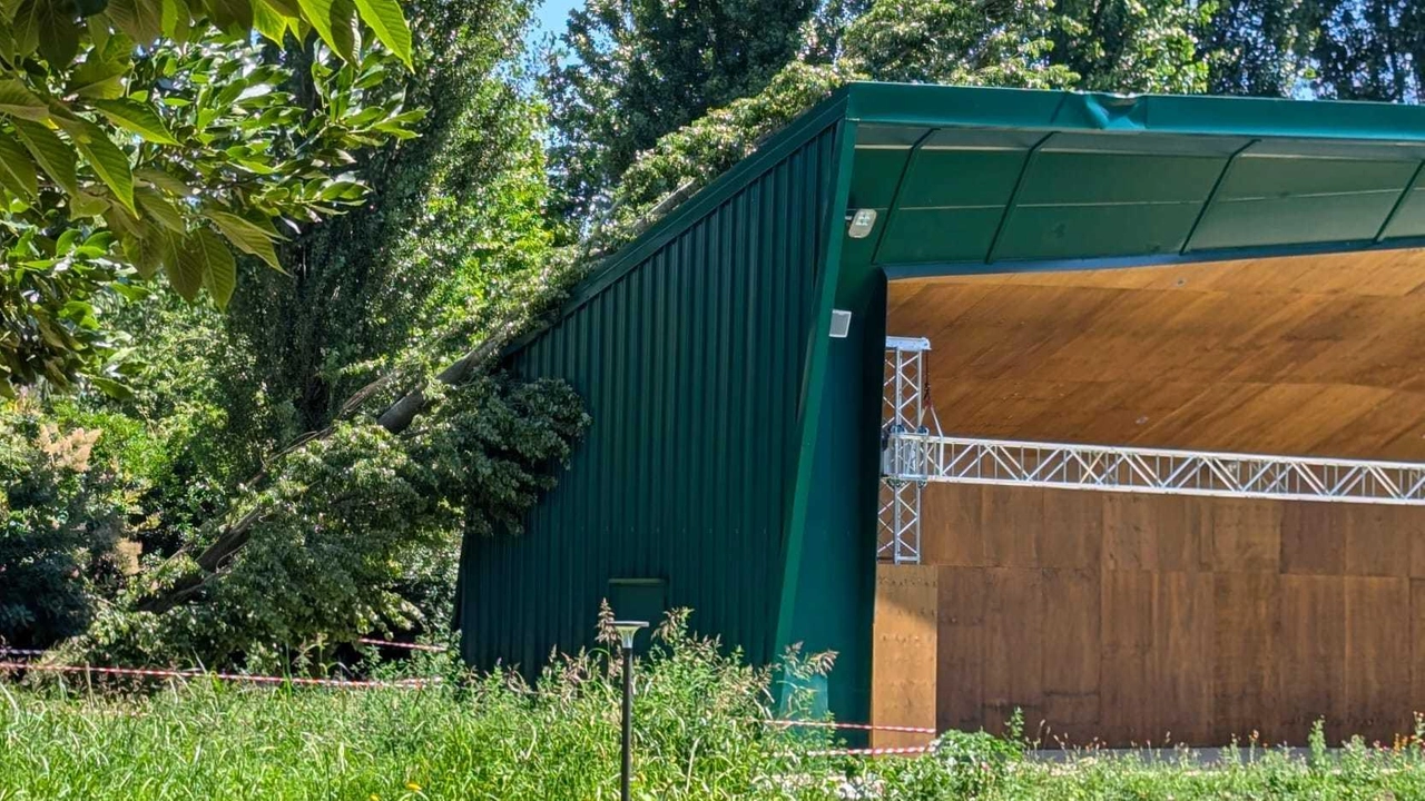 L’albero crollato sul tetto della struttura in metallo verde Fortunatamente il parco dell’ex Seminario non è ancora aperto